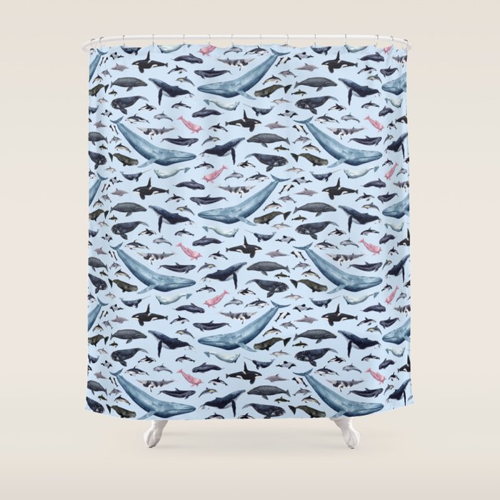 CETACEANS POSTER beige and text Shower Curtain Gallery Image 1