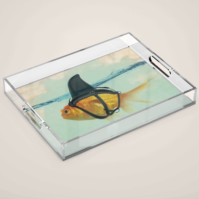 Brilliant Disguise Test Acrylic Tray Gallery Image 1
