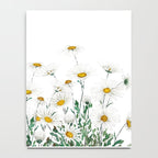 white Margaret daisy watercolor Notebook Gallery Image 4