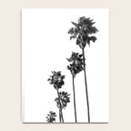 Palm Trees 8 Notebook Gallery Image 4