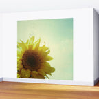 Sunflower Wall Mural Gallery Image 2