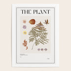 Autumn botanical art Herbarium 4 Poster Gallery Image 4