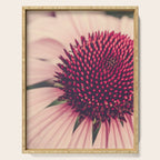 Coneflower Study 2 Serving Tray Gallery Image 1