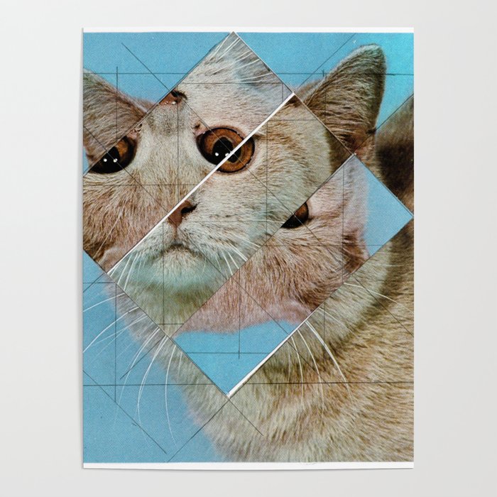 the depressive cat am abend bekommt den blues Poster Gallery Image 4