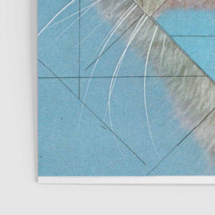 the depressive cat am abend bekommt den blues Poster Gallery Image 3