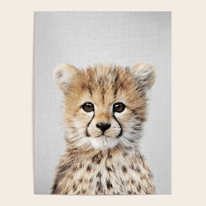 Baby Cheetah - Colorful Poster Gallery Image 4