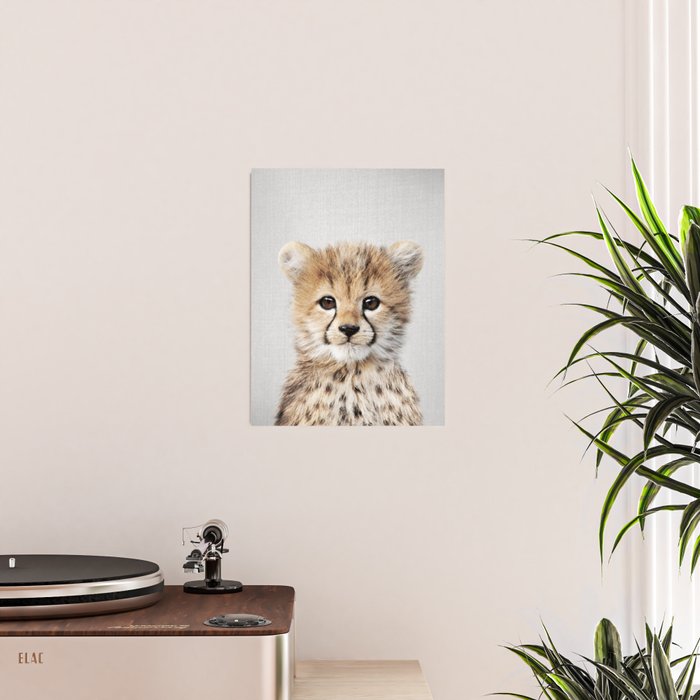 Baby Cheetah - Colorful Poster Gallery Image 2