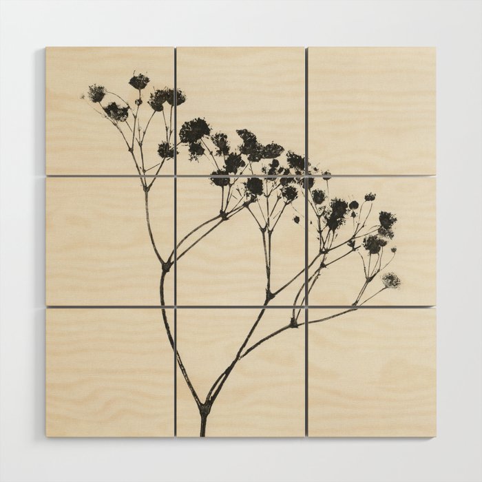 Gypsophila Portrait #3 Wood Wall Art Gallery Image 1