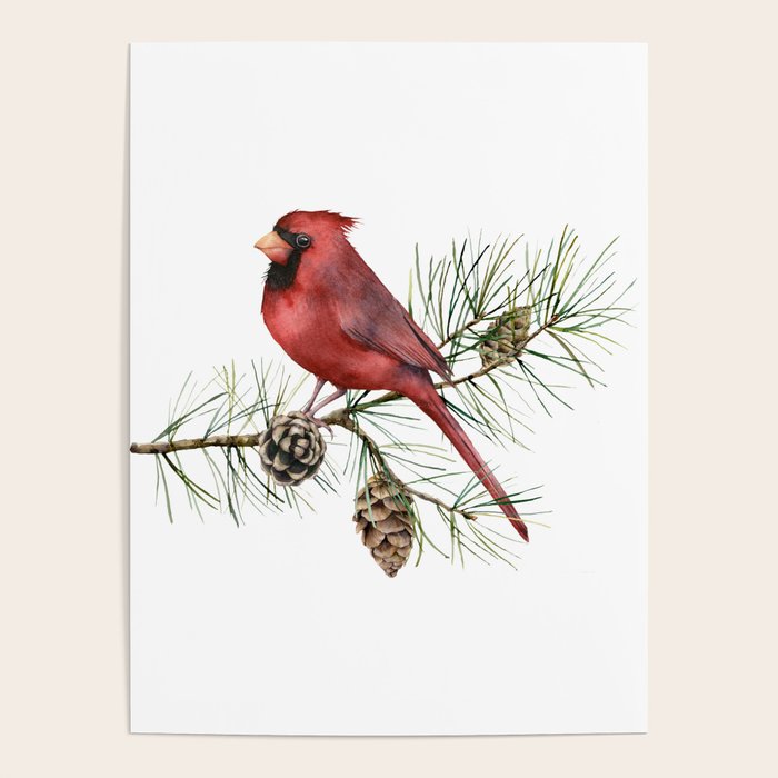 Christmas Red Cardinal Bird and Pine Watercolor Poster Gallery Image 1