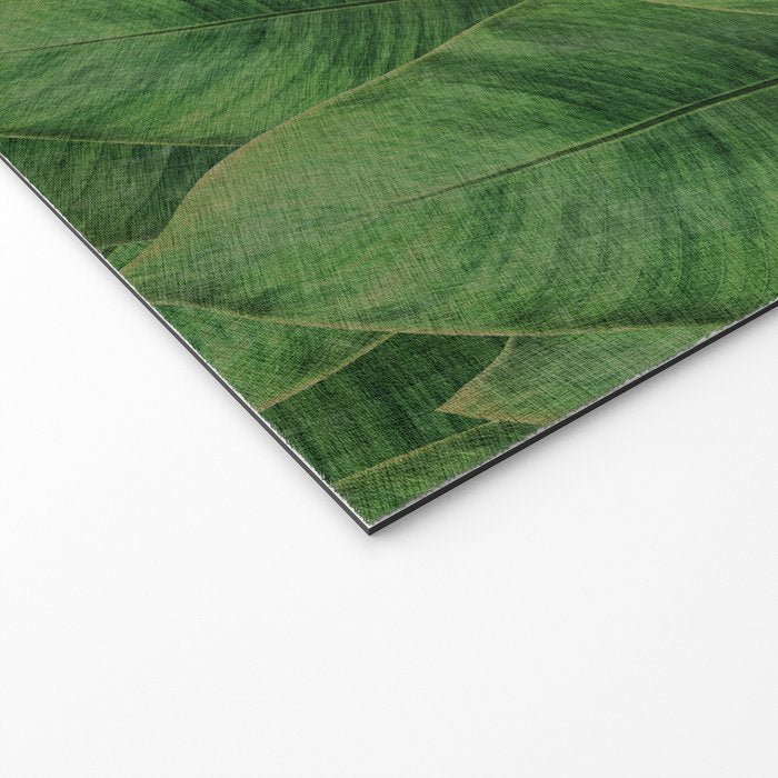 Banana Leaf III Welcome Mat Gallery Image 2