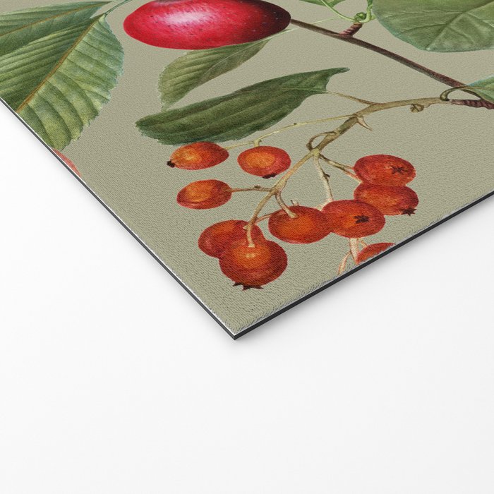 Sage Garden  Welcome Mat Gallery Image 2