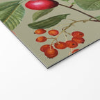Sage Garden  Welcome Mat Gallery Image 2