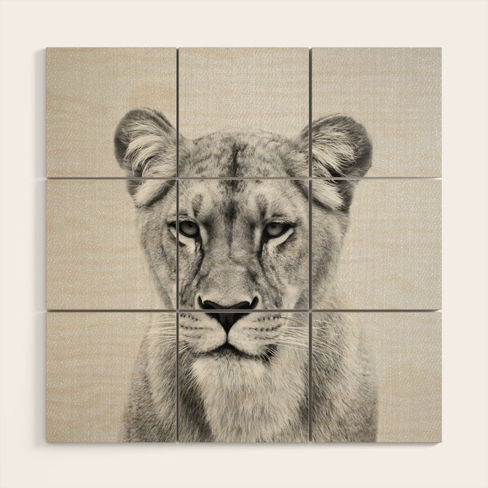 Lioness - Black & White Wood Wall Art Gallery Image 1