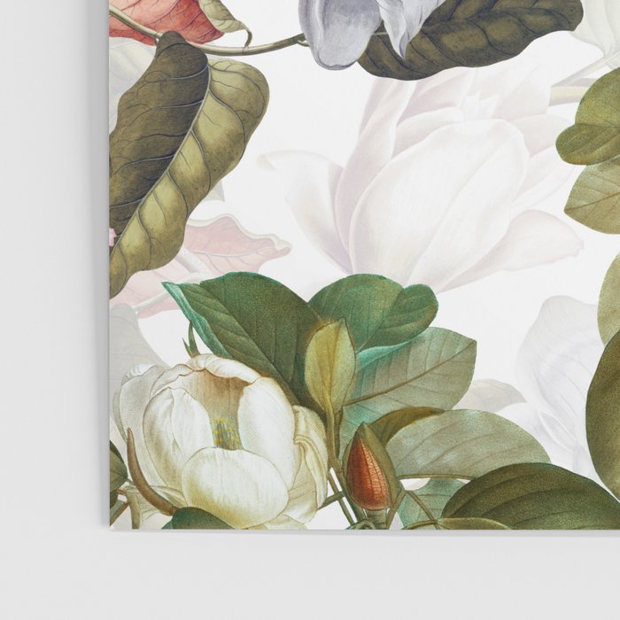 Vintage & Shabby Chic - Spring Flowers Magnolia Botanical Garden Poster Gallery Image 3