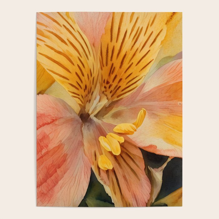 Lily of the Incas Poster Gallery Image 4