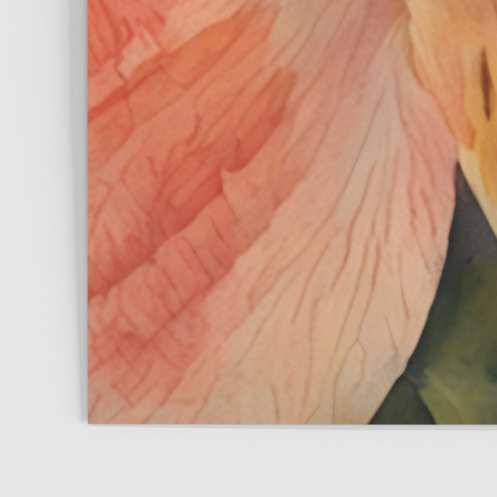 Lily of the Incas Poster Gallery Image 3