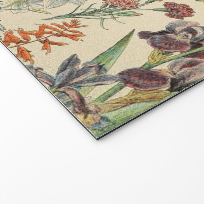 French Vintage Flowers Chart Adolphe Millot Fleurs Larousse Pour Tous Funky Cozy Boho Maximalist Welcome Mat Gallery Image 2