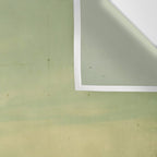 Travel Like A Bird Without a Care Wall Tapestry Gallery Image 3