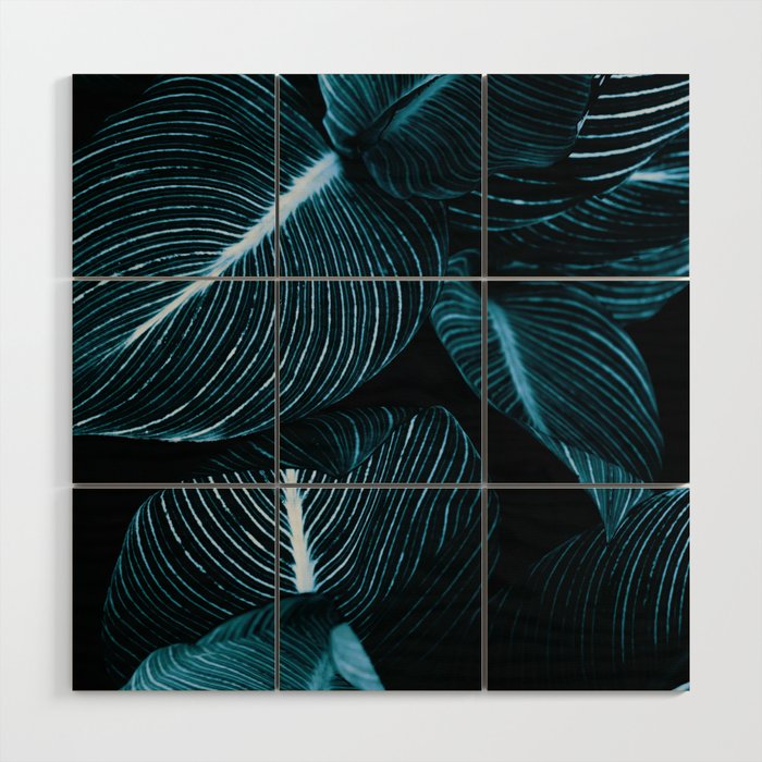 Unbridled - teal Wood Wall Art Gallery Image 1
