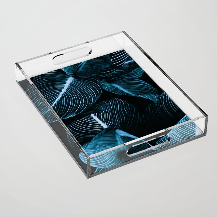 Unbridled - teal Acrylic Tray Gallery Image 1