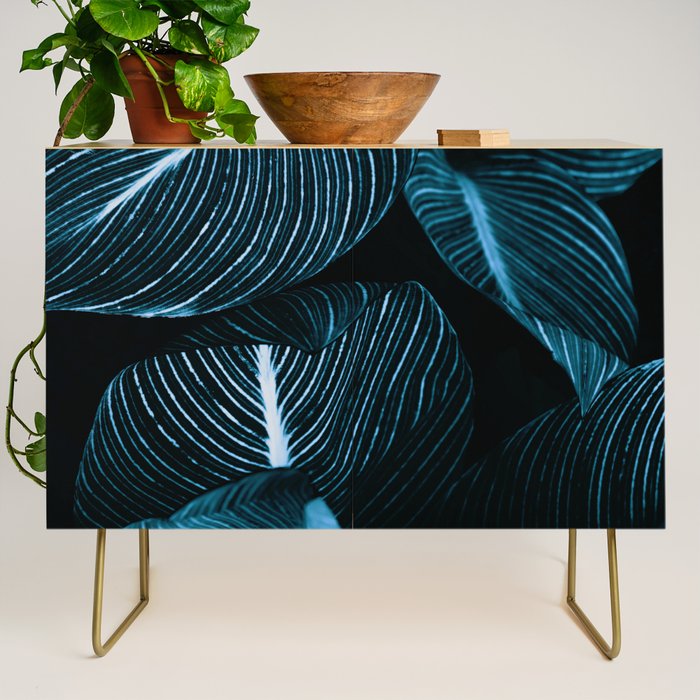 Unbridled - teal Credenza Gallery Image 1