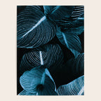 Unbridled - teal Poster Gallery Image 4