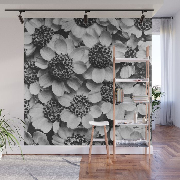 Yarrow flower blossoms vintage black and white photograph by Karl Blossfeldt   Wall Mural Gallery Image 1