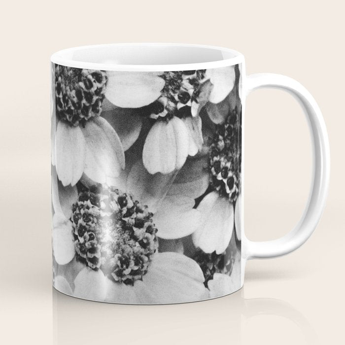 Yarrow flower blossoms vintage black and white photograph by Karl Blossfeldt   Coffee Mug Gallery Image 1