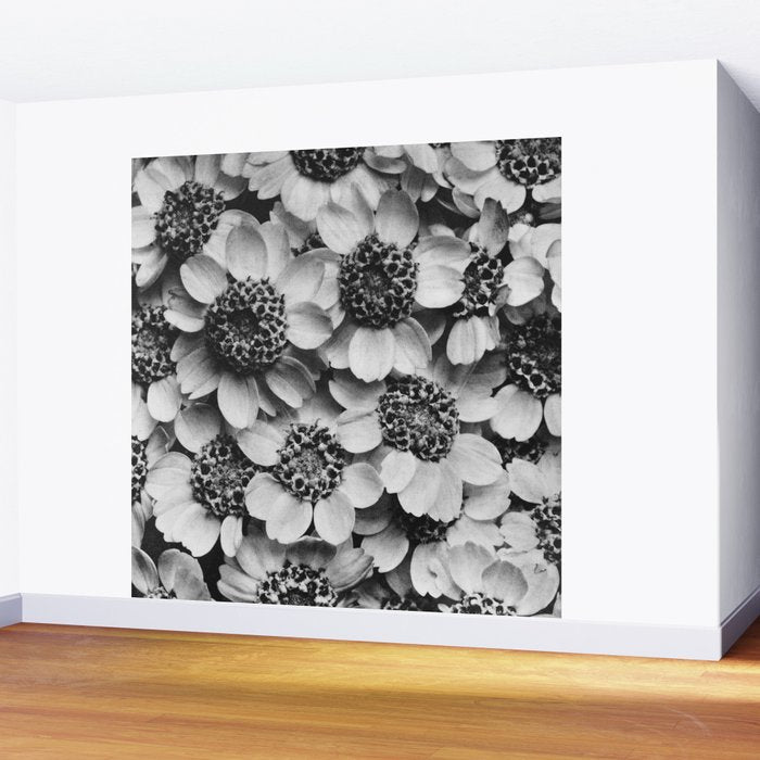 Yarrow flower blossoms vintage black and white photograph by Karl Blossfeldt   Wall Mural Gallery Image 2