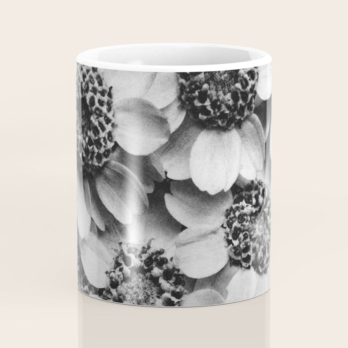 Yarrow flower blossoms vintage black and white photograph by Karl Blossfeldt   Coffee Mug Gallery Image 4