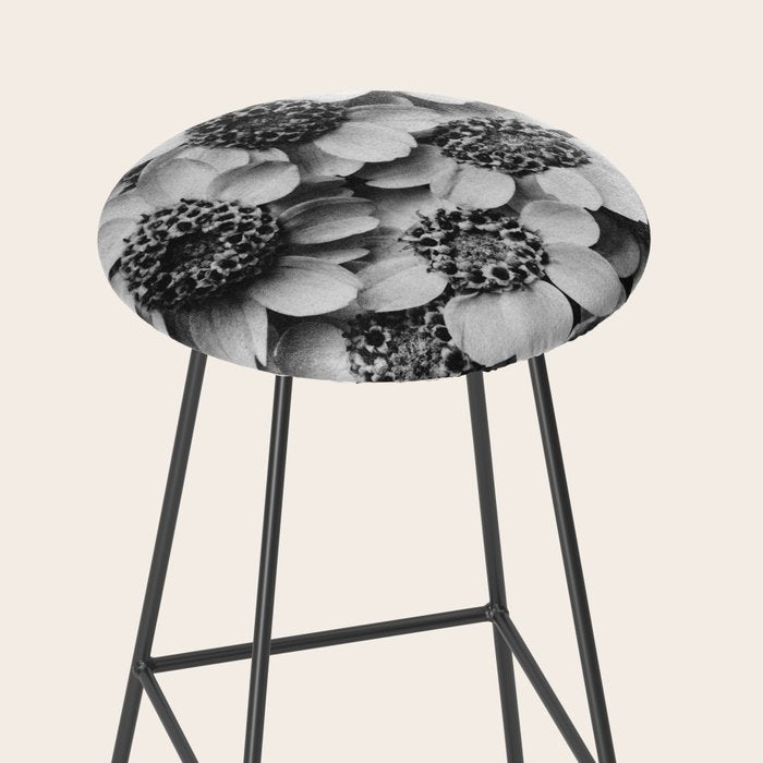 Yarrow flower blossoms vintage black and white photograph by Karl Blossfeldt   Stool Gallery Image 2