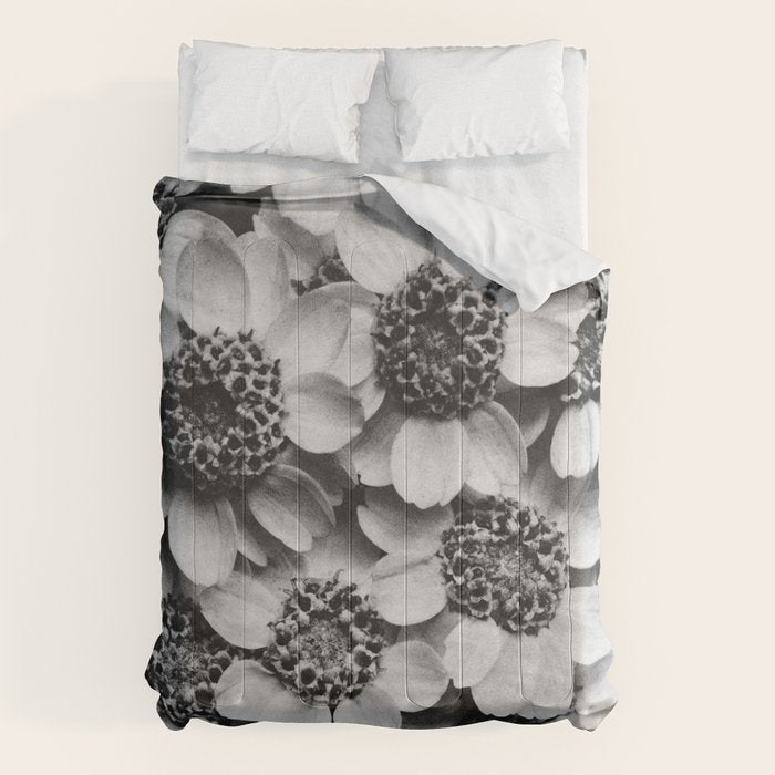 Yarrow flower blossoms vintage black and white photograph by Karl Blossfeldt   Comforter Gallery Image 6