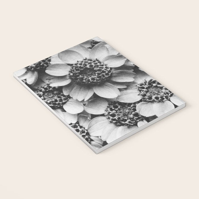 Yarrow flower blossoms vintage black and white photograph by Karl Blossfeldt   Notebook Gallery Image 3