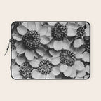 Yarrow flower blossoms vintage black and white photograph by Karl Blossfeldt   Laptop Sleeve Gallery Image 1