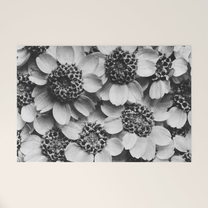 Yarrow flower blossoms vintage black and white photograph by Karl Blossfeldt   Welcome Mat Gallery Image 1