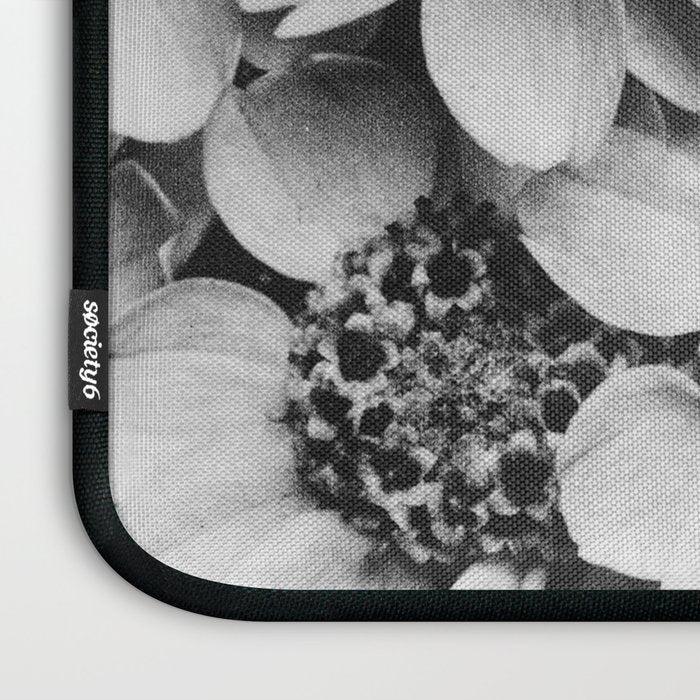 Yarrow flower blossoms vintage black and white photograph by Karl Blossfeldt   Laptop Sleeve Gallery Image 3