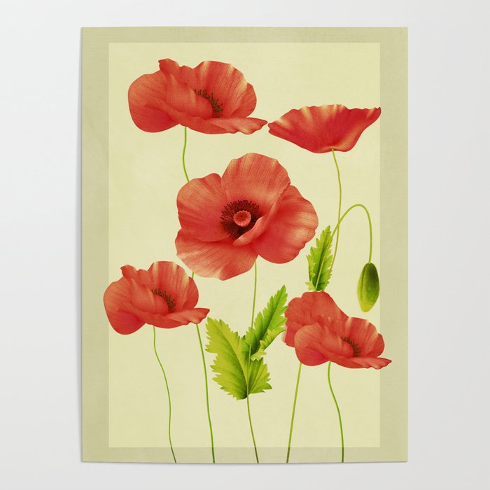 Red Poppies 3 Poster Gallery Image 4