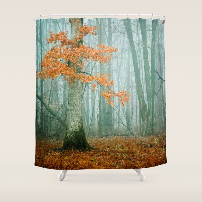 Autumn Woods Shower Curtain Gallery Image 1