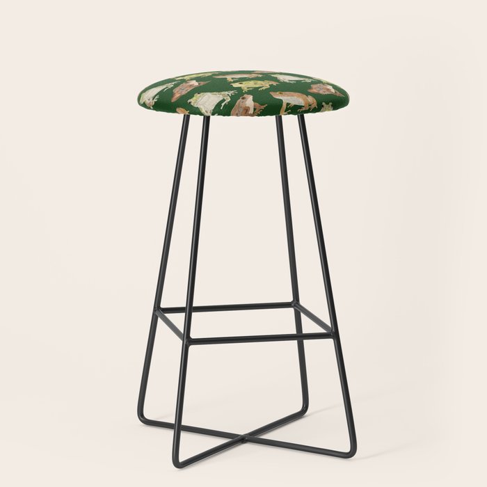 Toads Stool Gallery Image 1