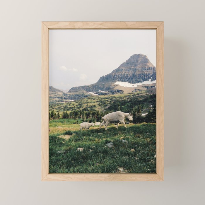 Montana Mountain Goat Family Mini Art Print Gallery Image 1