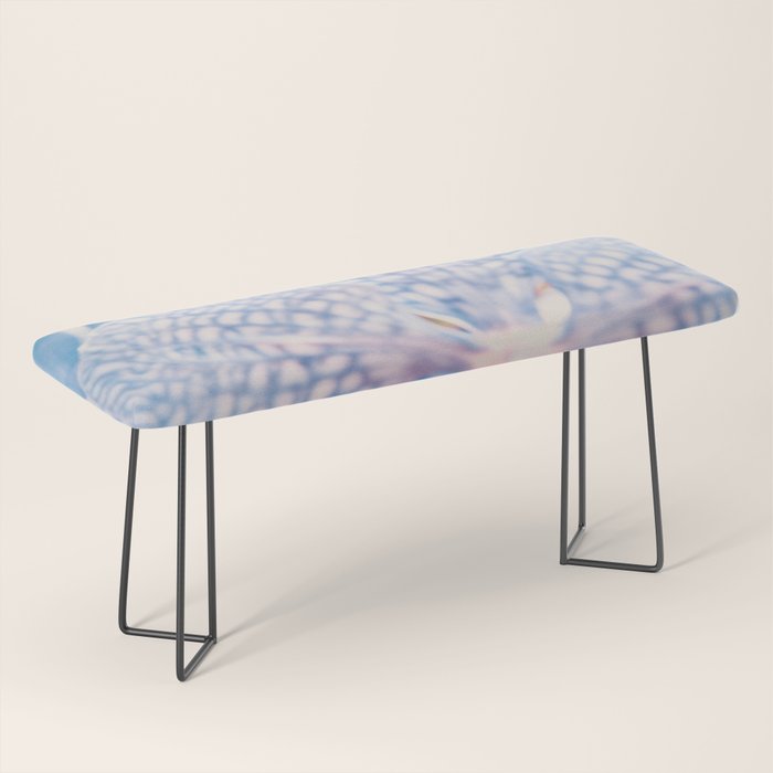 Abstract Orchid Flower Bench Gallery Image 1
