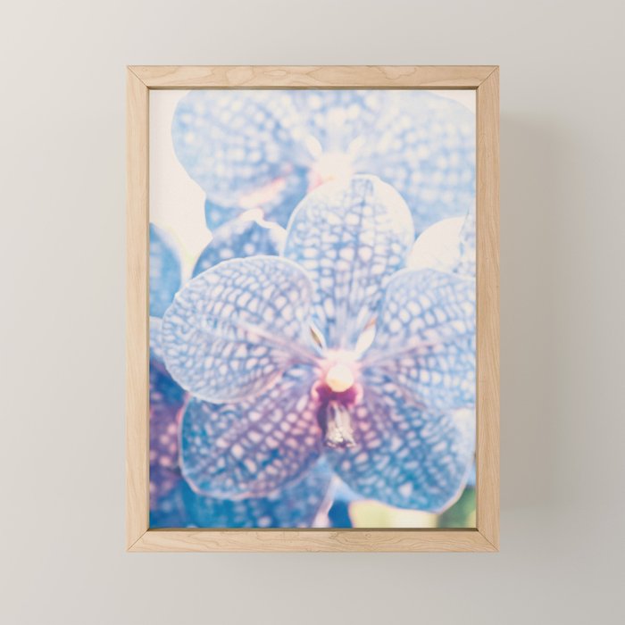 Abstract Orchid Flower Mini Art Print Gallery Image 1