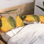 Pears Botanical Art 2 Pillow Sham Gallery Image 2