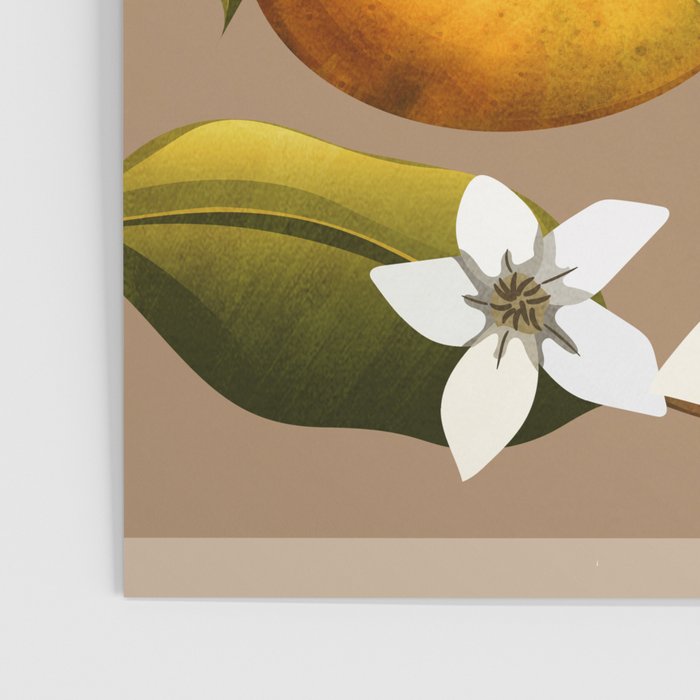 Pears Botanical Art 2 Poster Gallery Image 3