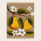 Pears Botanical Art 2 Poster Gallery Image 4