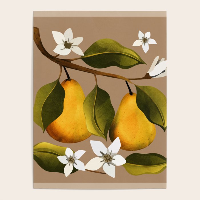 Pears Botanical Art 2 Poster Gallery Image 4