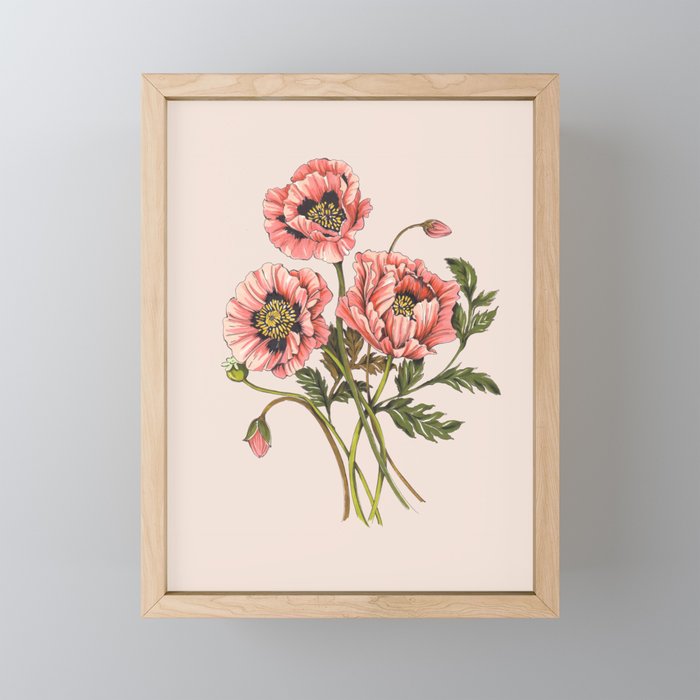 Pink Shirley Poppies  Mini Art Print Gallery Image 1