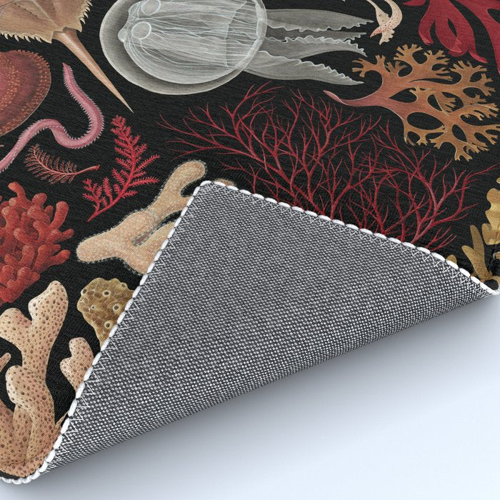 Intertidal Life of the North Atlantic (without species list) Rug Gallery Image 4
