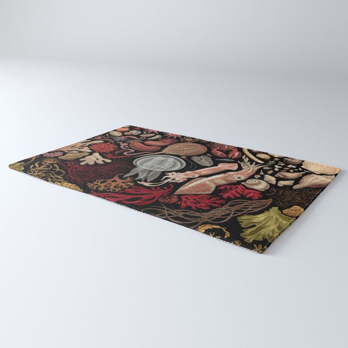 Intertidal Life of the North Atlantic (without species list) Rug Gallery Image 3