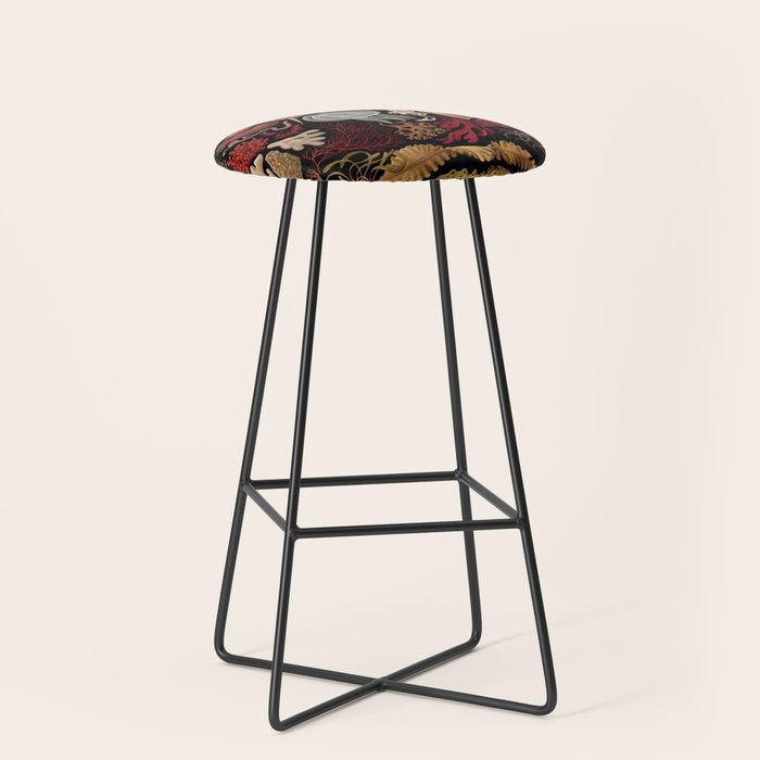 Intertidal Life of the North Atlantic (without species list) Stool Gallery Image 1